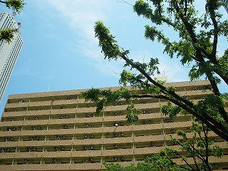 写真あり