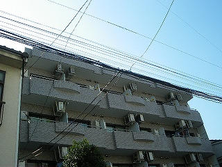 写真あり